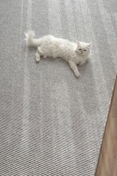 Gues Serisi Gri Yumuşak Dokulu Yüksek Kalite Makine Halısı AP-7411